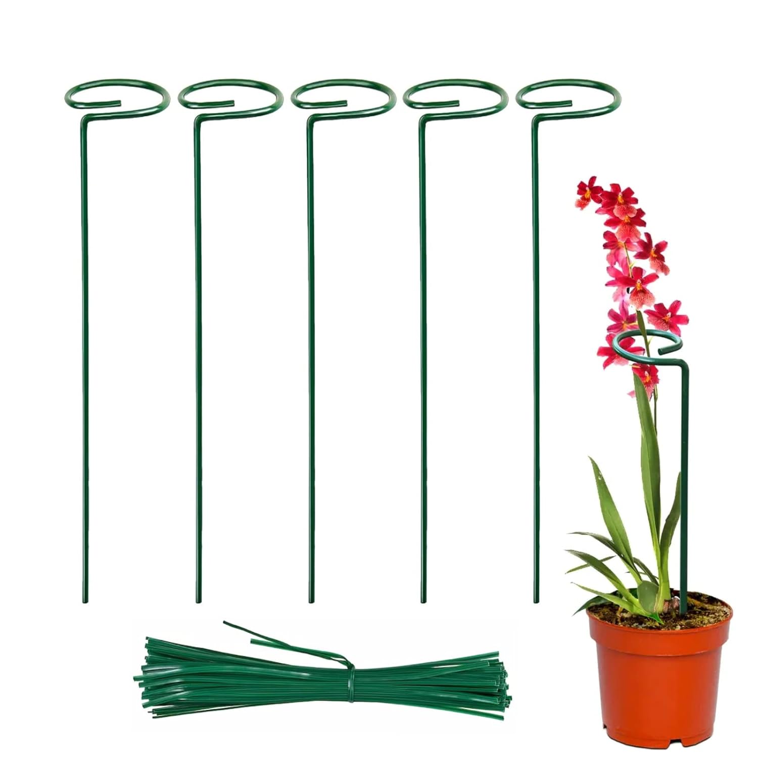 18 Inches Premium Plant Support Stakes, Sturdy Metal Construction for Strong and Healthy Plant Growth (Light Green - 5 pcs)
