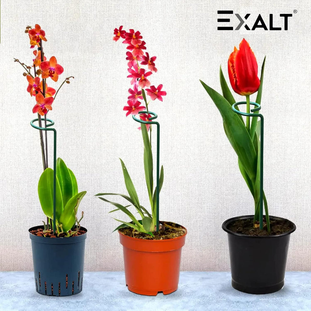 18 Inches Premium Plant Support Stakes, Sturdy Metal Construction for Strong and Healthy Plant Growth (Light Green - 5 pcs)