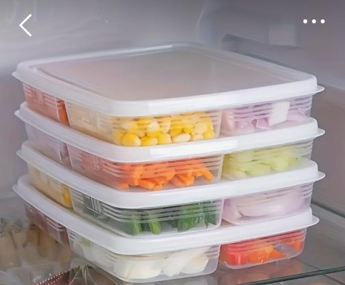 Multipurpose 5 Section Plastic Fridge Storage Container | Airtight, BPA-Free | For Vegetables, Fruits, Spices, Snacks