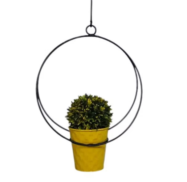 Pendulam 2 - Single Metal Hanging Pot