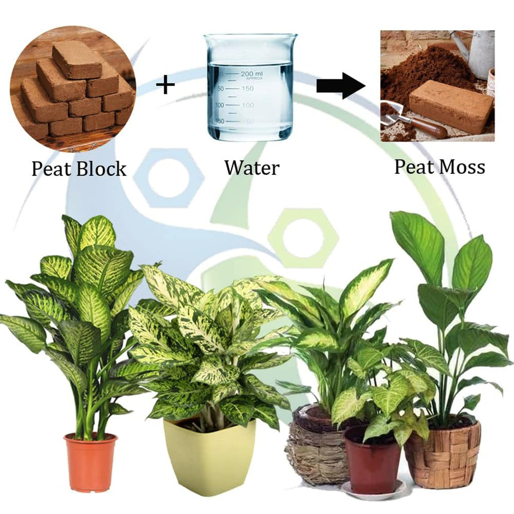 Coco peat Coconut Coir Growing Medium Block for Garden and Plants 1kg
