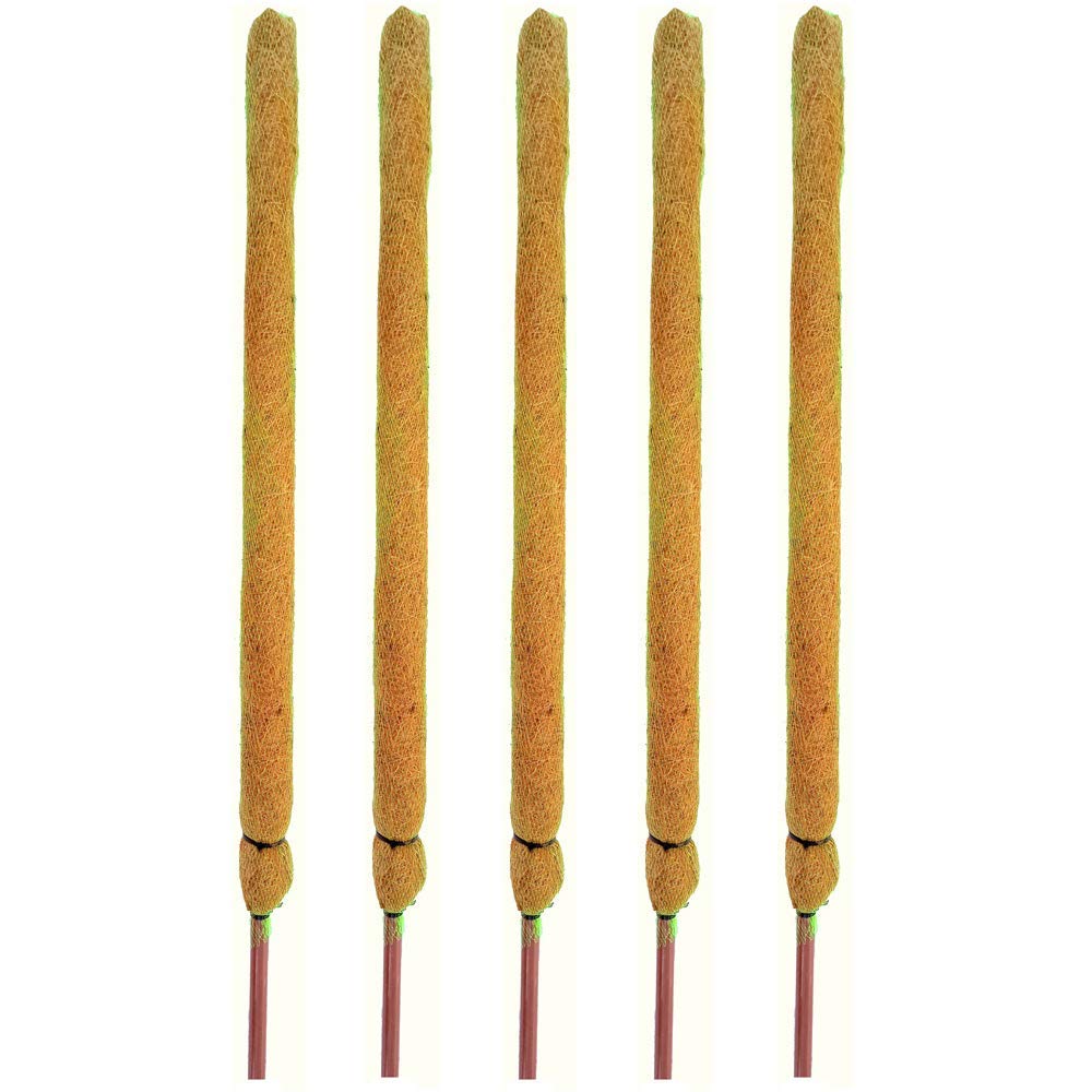 Coco Pole - Coir Moss Stick | Plant Creepers Support | Brown | 4 feet | 5 Pieces | Indoor and Outdoor Uses |