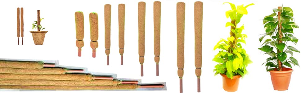 Coco Pole - Coir Moss Stick | Plant Creepers Support | Brown | 4 feet | 5 Pieces | Indoor and Outdoor Uses |