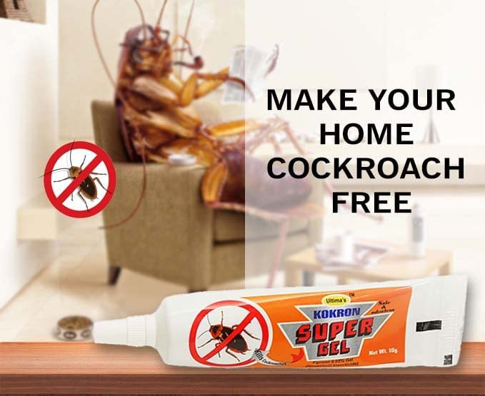 Ultima's Kokron Super gel For Cockroach Killer in kichen and home Cockroach bait gel/Anti Roach Gel/Cockroach Repellent Fast Acting Ouderless 15 Grams Pack of 1