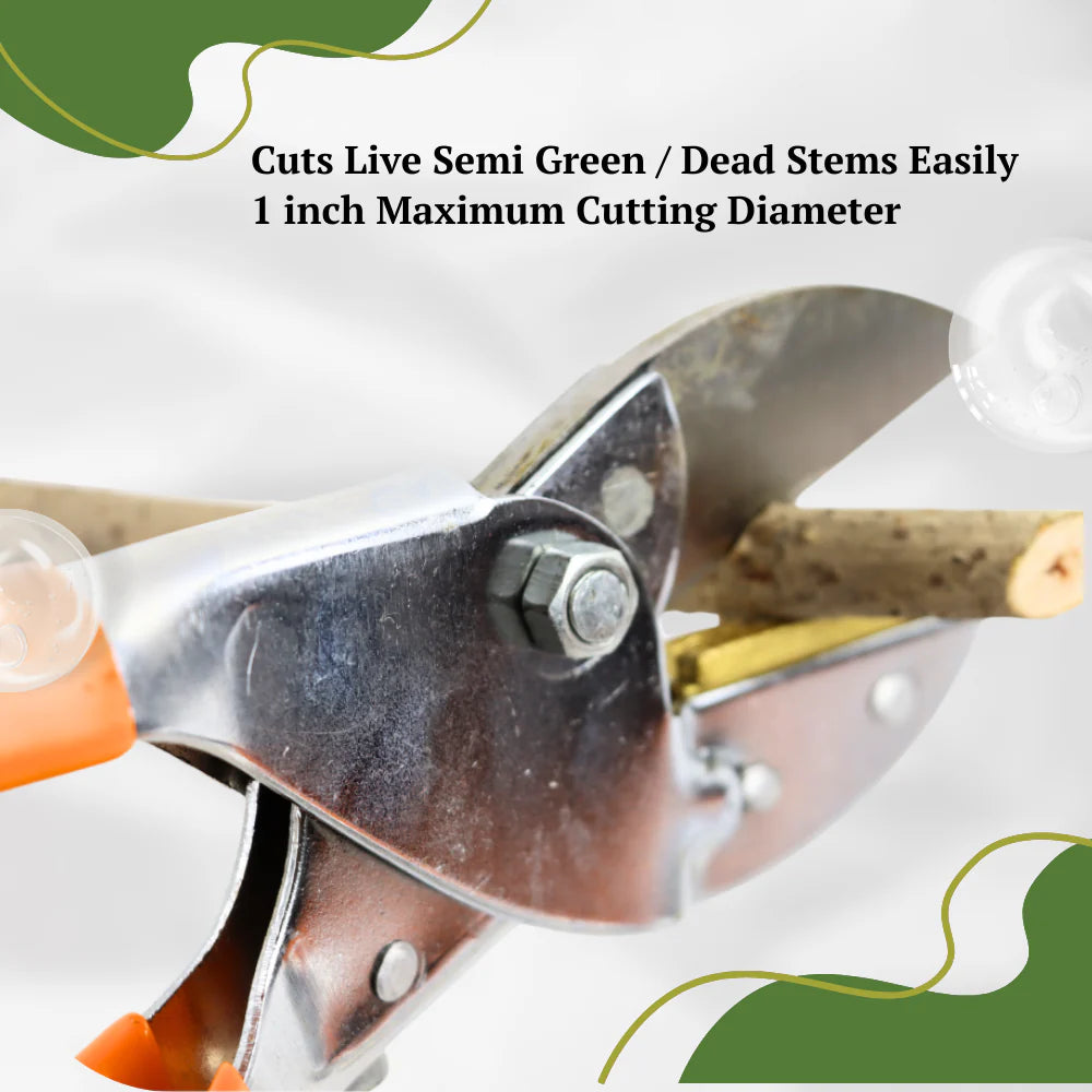 Steel Blade Heavy Duty Plant Cutter | 8" Length Hard Stem Scissor Razor Sharp Hand Pruning Anvil Shear | Item No: VAPS-032 | Garden Roll Cut Pruner | Branch Cutter, Tree Pruner